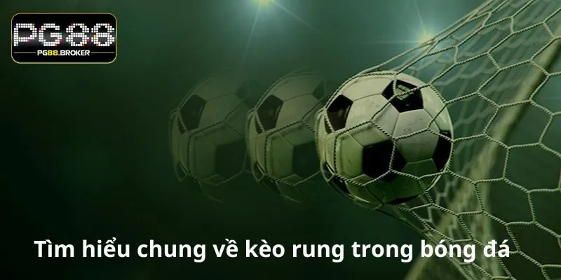 Có đa dạng các loại kèo rung cho người chơi tùy ý lựa chọn